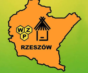 Co zabrać ze sobą na najbliższe zebranie?